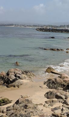 San Carlos Beach Park-蒙特雷