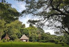 Chirinda Forest景点图片