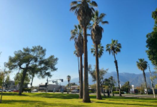 Arcadia County Park景点图片