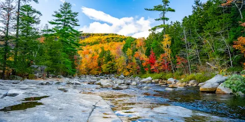 Sugar Hill Scenic Vista
