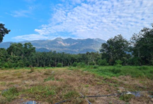 Bumi Ledang Agro Farm景点图片