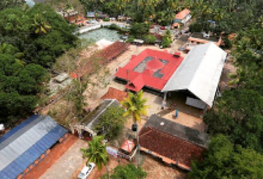 Maruthorvattom Sri.Dhanwanthari Temple景点图片