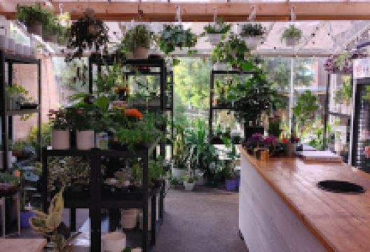 Seaberry Garden & Flower购物图片
