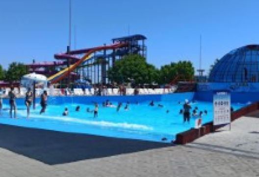 Yarovoye Tigris景点图片