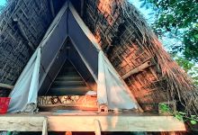 Camp Tiger's Wood eco retreat景点图片