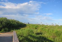 Xeriscape Park景点图片