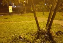Parque Lomas del Sol景点图片