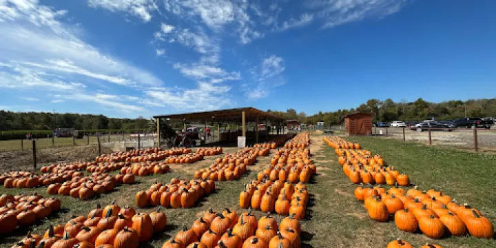 Uncle Shucks Corn Maze and Pumpkin Patch