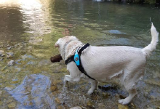 La Moletta景点图片