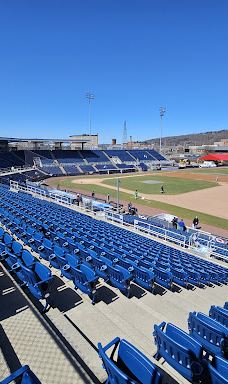 Binghamton Mets Baseball Club-宾汉顿