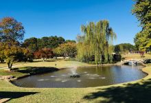 Mark S. Brown Municipal Park景点图片