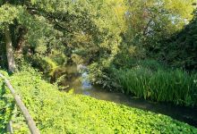 Walton on Thames Camping and Caravanning Club Site景点图片