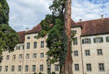 Innerer Schlosspark (Ost)景点图片