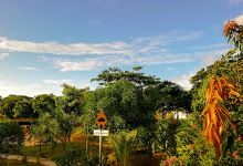 Jardín Paraíso Park景点图片