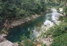 forests and baths WARANIE River景点图片