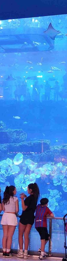迪拜水族馆和水下动物园-迪拜-geniuslxy