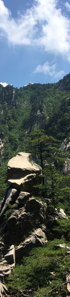 大别山国家森林公园-罗田