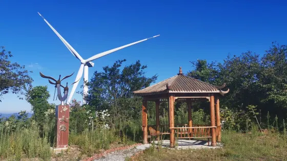 沖天鶴