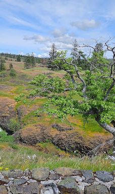 Catherine Creek Day Use Area/Trailhead-克利基塔特县