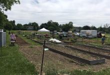 New Carlisle Community Garden景点图片