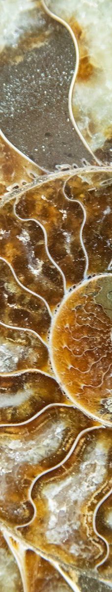 巴林杰陨石坑-科科尼诺县