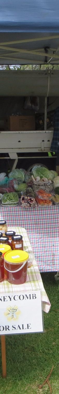 维克多港-维克多港