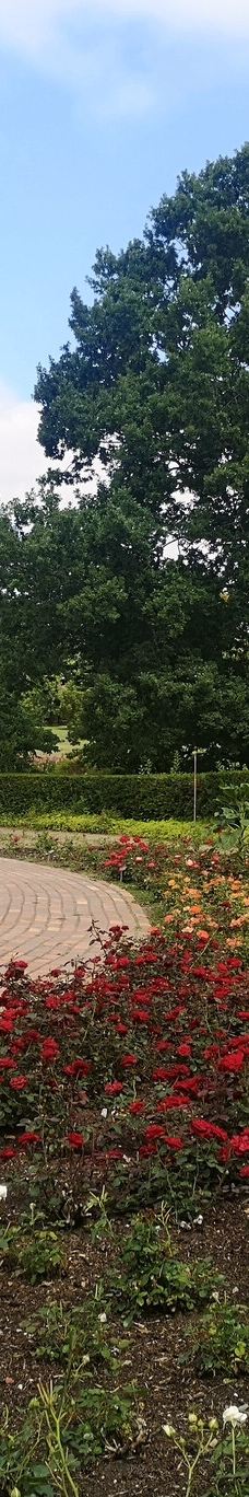 Geografisk Have-科灵