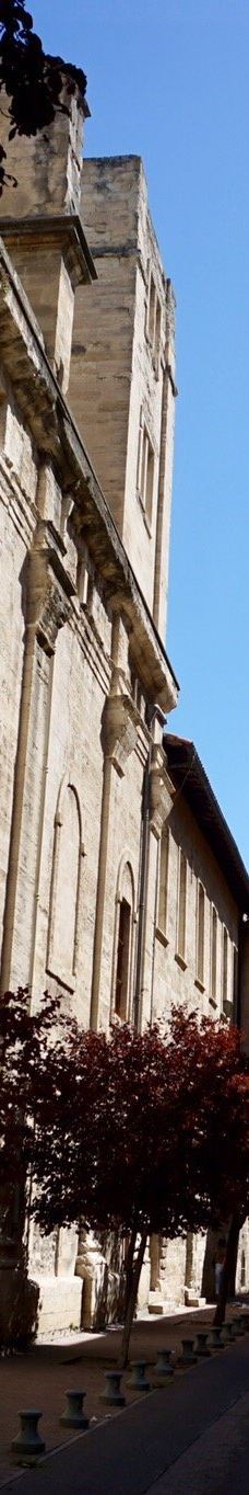 共和大道-阿维尼翁