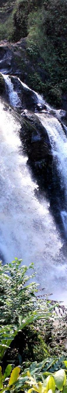 Upper Waikani Falls-茂宜县