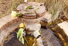 Oare Marshes Nature Reserve景点图片