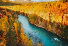 Kenai River景点图片