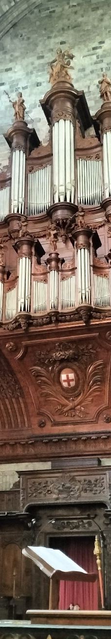 Narbonne Cathedral-纳巴达