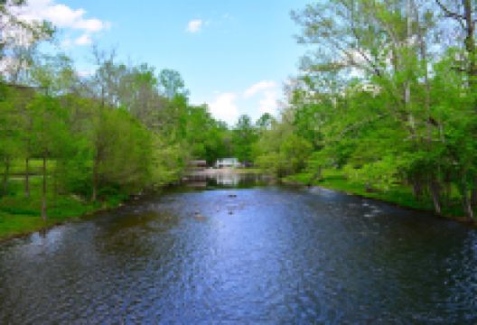Dark Island Swinging Bridge景点图片