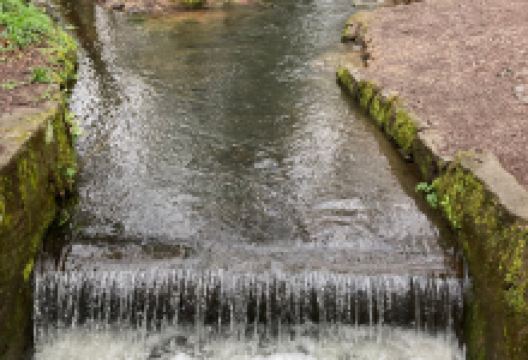 Tehidy Country Park景点图片