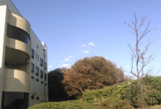 横须贺市自然・人文博物馆景点图片