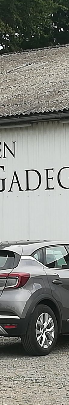 Vingaarden, Lille Gadegaard ( Vineyard )-阿克尔科拜