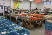 Sea Garden Hiji购物图片