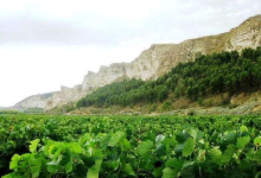 Bodega Beleluin购物图片