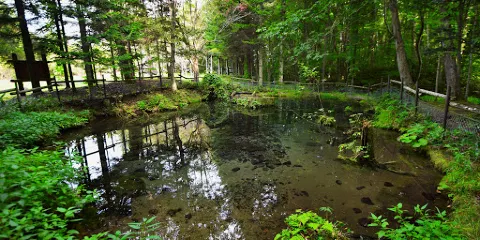 Izuminomori Raiun Park