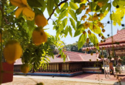Pallana Devi Temple景点图片