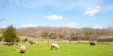 Howell Living History Farm