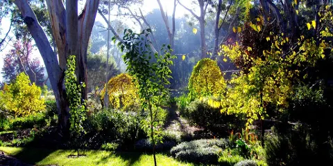 Lazy Ballerina Wines