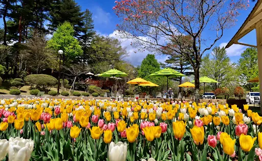 Kantenpapa Garden
