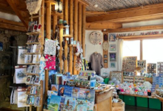 Art-Galereya Oshchepkovykh景点图片