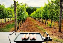 Purple Eye Estate Camp & Winery景点图片