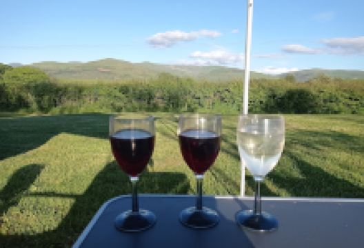 Davies w T景点图片