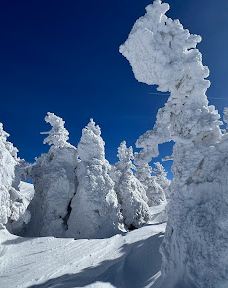 八甲田连峰树冰-青森