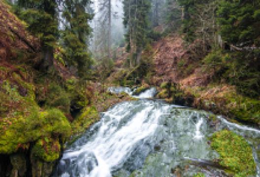 The valley of the White Opava景点图片