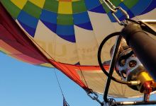 Harvard Balloon Fest景点图片