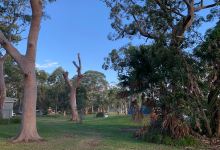 Bundeena Skate Park景点图片